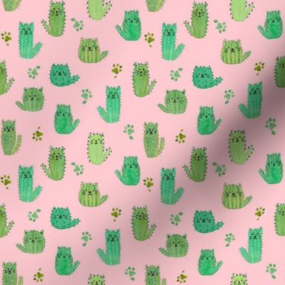 Micro cat-cus! Cactus cats and paws on PINK