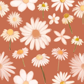 blush daisies on terra cotta