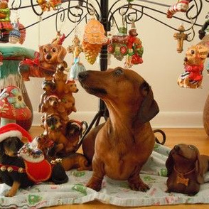 Christmas Dachshund (Version 2) 