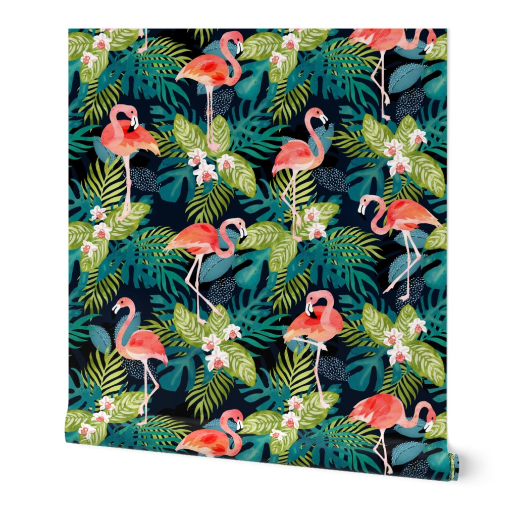 Flamingo tropics