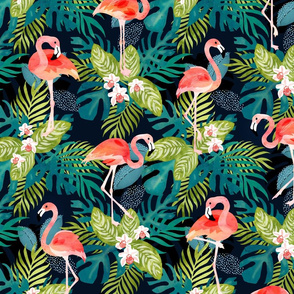 Flamingo_tropics