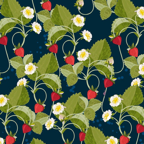 Strawberries on NAVY