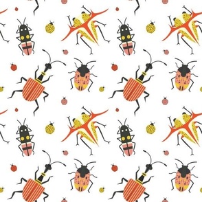 Weird Bugs and Unusual Beetles 