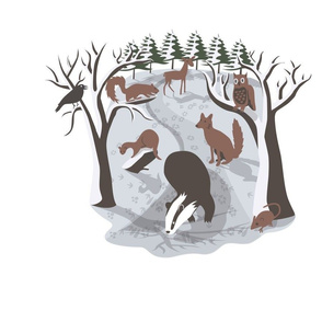 Woodland creatures in winter