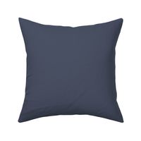 Muted Blue Slate Solid Color Coordinates with Kelly Moore Accent Color KM4995 Navy Damask