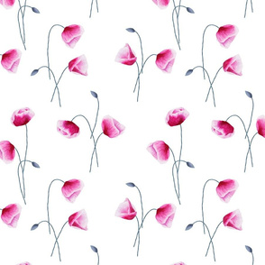 Watercolor hand painted poppy flowers seamless pattern 