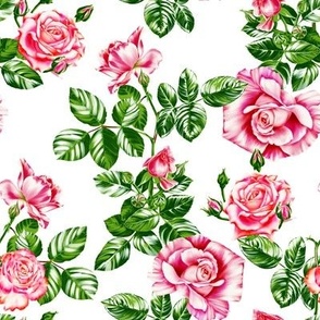 vintage roses on a white background