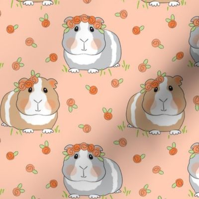 large guinea pigs with peach roses