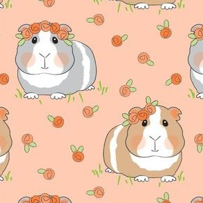 large guinea pigs with peach roses