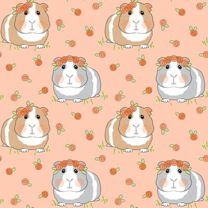 medium guinea pigs with peach roses