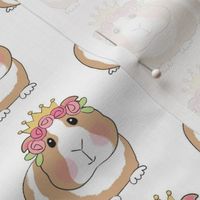 large princess guinea pigs with roses on white