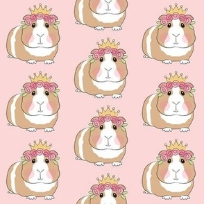 large princess guine pigs with roses on pink