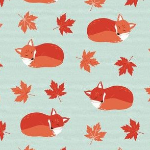 Red Foxes Sleeping in Maple Leaves