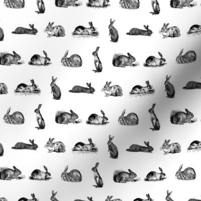 Antique Rabbits (Mini Scale)