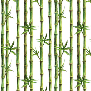 bamboo pattern 3