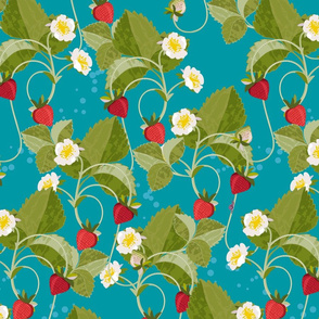 Strawberries on TURQUOISE