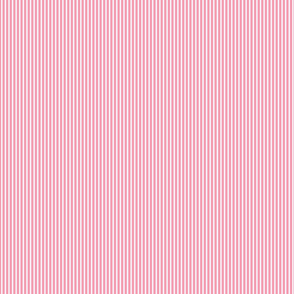 TINY STRIPES pink