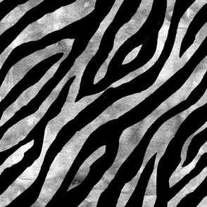 zebra pattern 1
