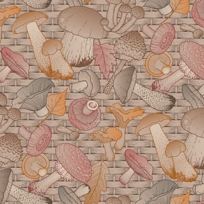 forest mushrooms in basket toile