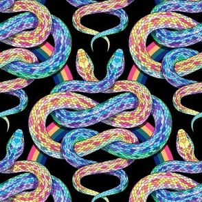 Rainbow snakes