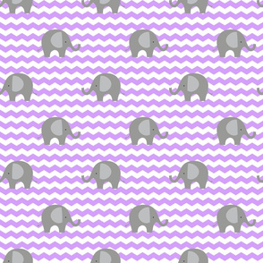 grey elephant lilac