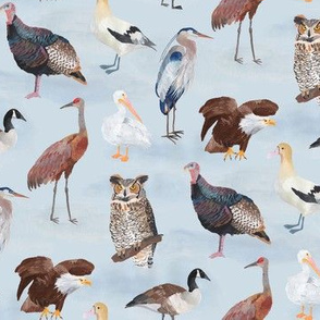 North American Birds Fabric, Wallpaper and Home Decor | Spoonflower
