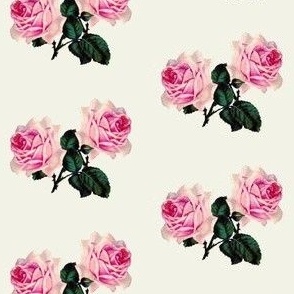 Vintage pink roses on chalk white