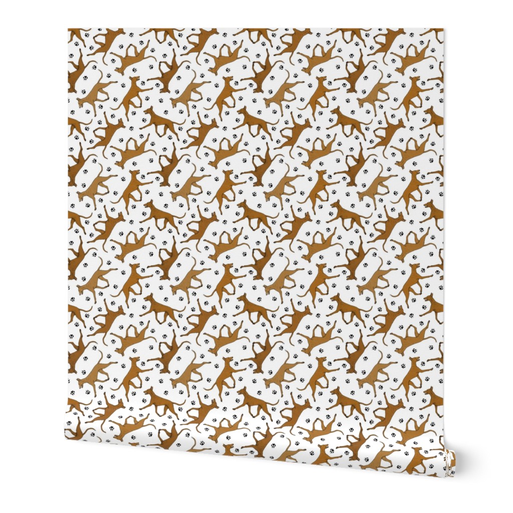 Trotting Pharaoh Hounds and paw prints - white