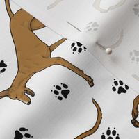 Trotting Pharaoh Hounds and paw prints - white