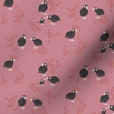 Little coot fabric