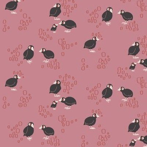 Little coot fabric