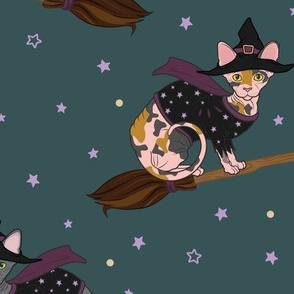 Witch Cat Riding Broom Large