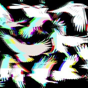 VHS Glitch Birds