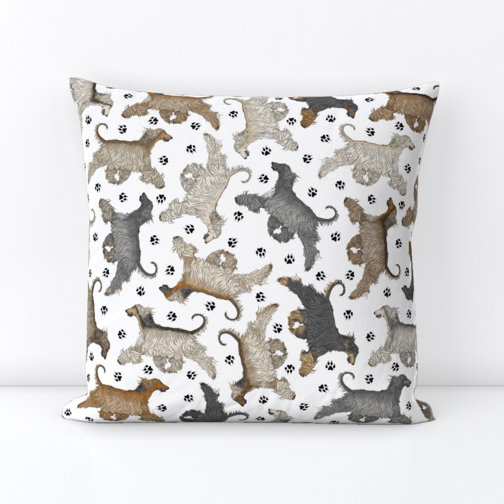 Trotting Afghan Hounds and paw prints - white