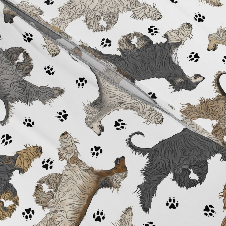 Trotting Afghan Hounds and paw prints - white