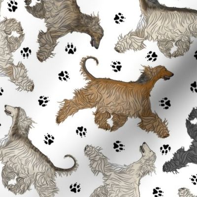 Trotting Afghan Hounds and paw prints - white