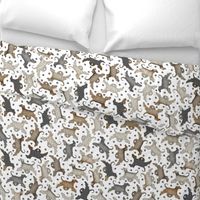 Trotting Afghan Hounds and paw prints - white