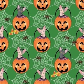 Scaredy Cats Orange A Purr-Fect Halloween Yardage, SKU# 53535-6