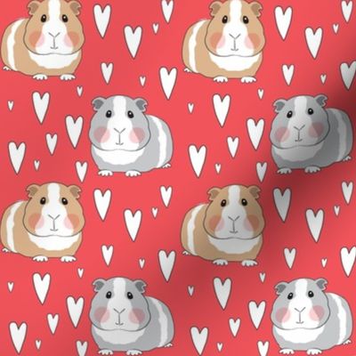 medium guinea pigs and hearts on red