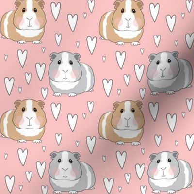 medium guinea pigs and hearts on pink