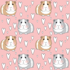 medium guinea pigs and hearts on pink
