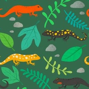 Salamanders