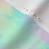 Fuzz - Pastel Rainbow Tie Dye