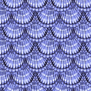 Scallop Shells Periwinkle Blue