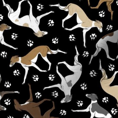 Trotting Italian Greyhounds and paw prints - black