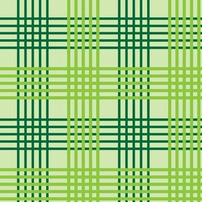 Green Plaid 