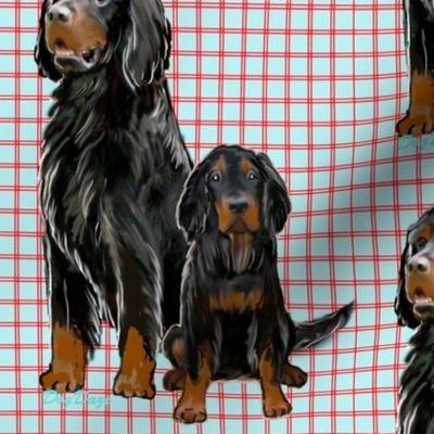 Gordon setter Mom and Pup