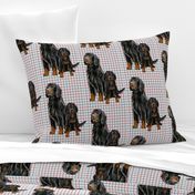 Gordon setter Mom and Pup