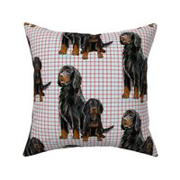 Gordon setter Mom and Pup