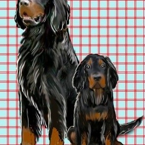 Gordon setter Mom and Pup